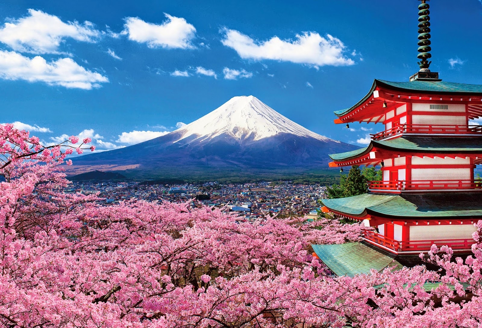NAGOYA – OSAKA– KYOTO –  NÚI PHÚ SĨ – TOKYO