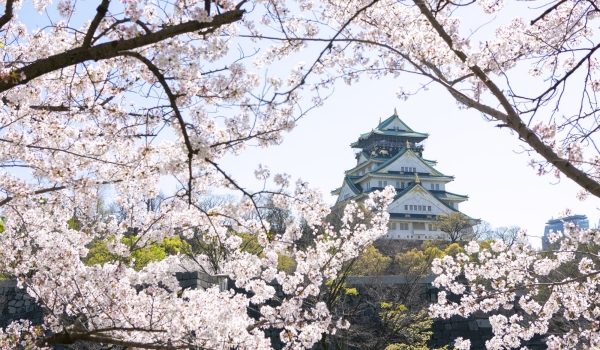 CHƯƠNG TRÌNH DU LỊCH  NHẬT BẢN MÙA HOA ANH ĐÀO  TOKYO – NÚI PHÚ SĨ – KYOTO – KOBE - OSAKA